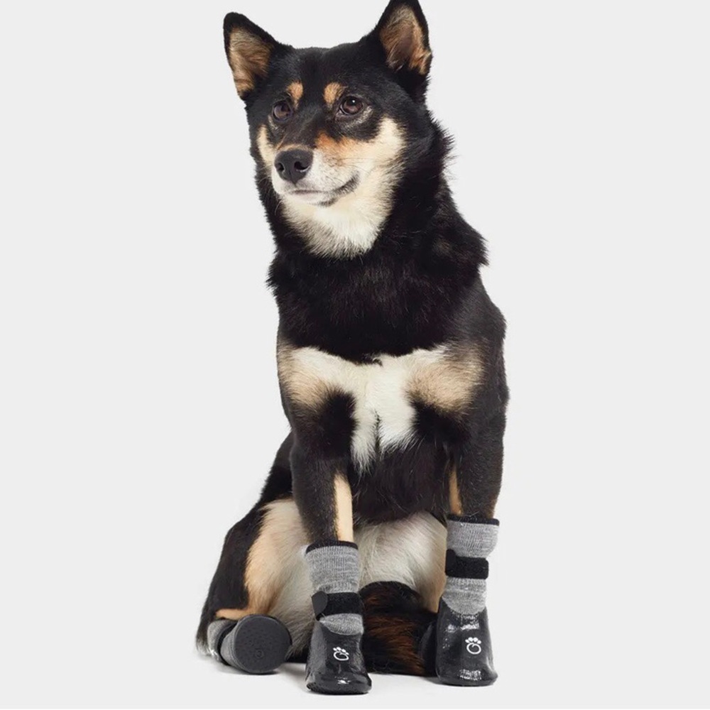 GF Pet Dog Booties